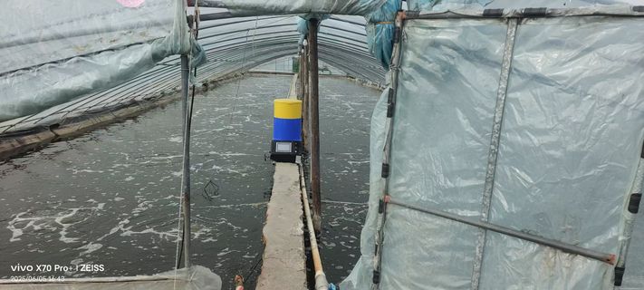 小棚虾智能投喂机器人